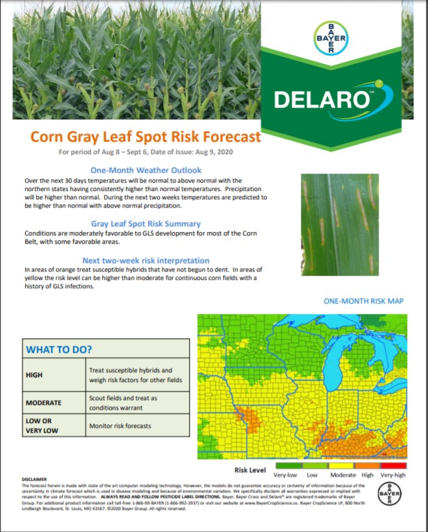 8/9 Northern Corn Disease Risk Map